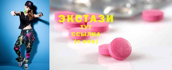 стаф Осинники