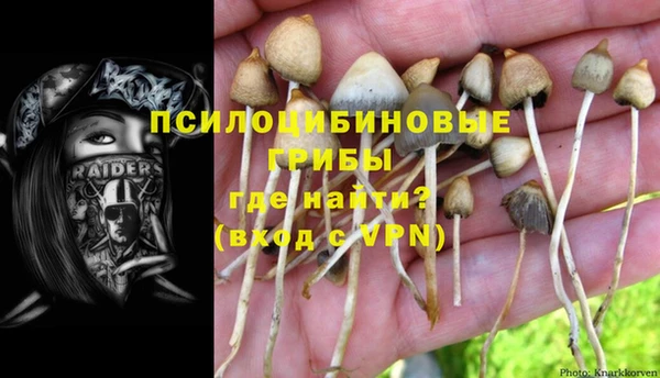 хмурый Осташков