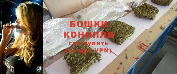 шишки Нягань