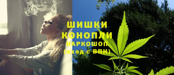 СК Новодвинск
